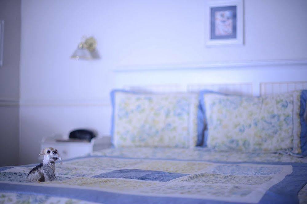 Hounds Tooth Inn Oakhurst Exteriér fotografie
